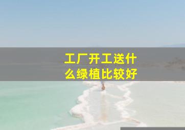 工厂开工送什么绿植比较好