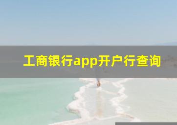 工商银行app开户行查询