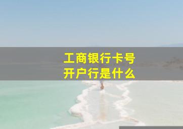 工商银行卡号开户行是什么