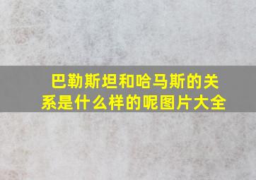 巴勒斯坦和哈马斯的关系是什么样的呢图片大全