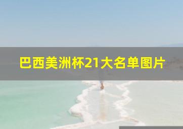 巴西美洲杯21大名单图片