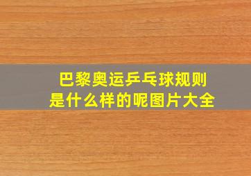 巴黎奥运乒乓球规则是什么样的呢图片大全