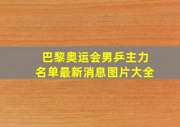 巴黎奥运会男乒主力名单最新消息图片大全