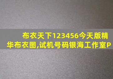 布衣天下123456今天版精华布衣图,试机号码银海工作室P