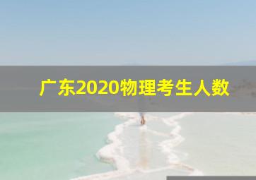 广东2020物理考生人数