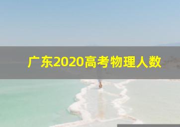 广东2020高考物理人数