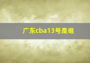 广东cba13号是谁