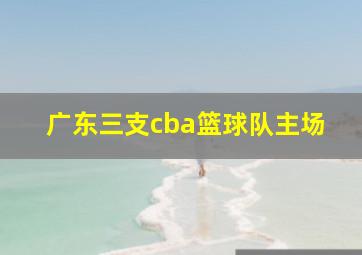 广东三支cba篮球队主场