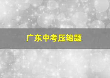 广东中考压轴题