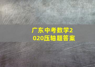 广东中考数学2020压轴题答案