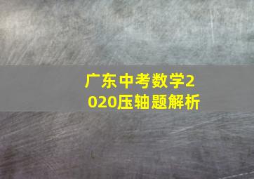 广东中考数学2020压轴题解析