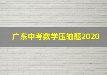 广东中考数学压轴题2020