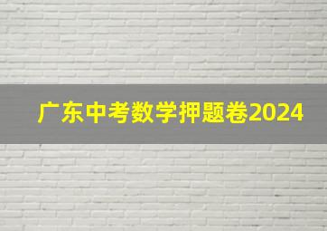 广东中考数学押题卷2024