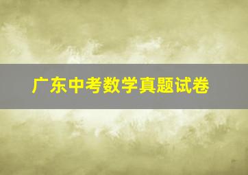 广东中考数学真题试卷