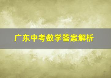 广东中考数学答案解析