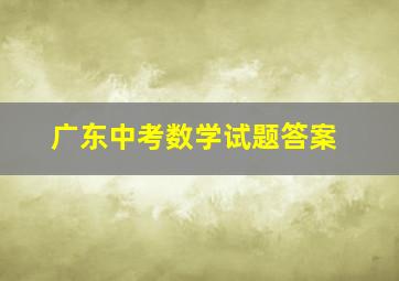 广东中考数学试题答案