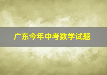 广东今年中考数学试题