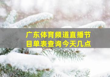 广东体育频道直播节目单表查询今天几点