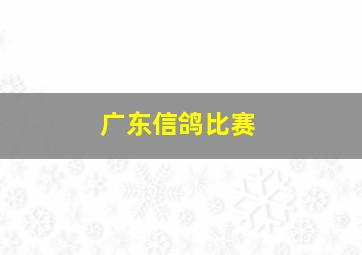 广东信鸽比赛