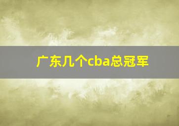 广东几个cba总冠军