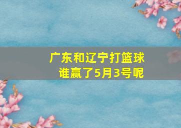 广东和辽宁打篮球谁赢了5月3号呢