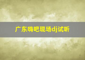 广东嗨吧现场dj试听