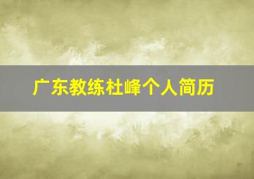 广东教练杜峰个人简历