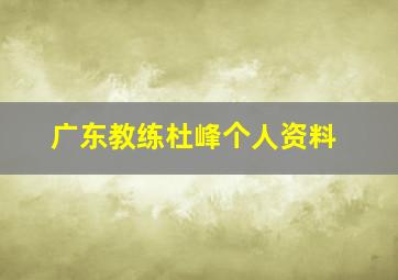 广东教练杜峰个人资料