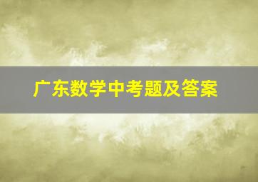 广东数学中考题及答案