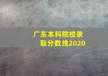 广东本科院校录取分数线2020