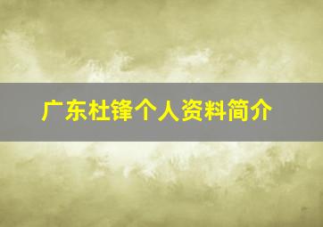 广东杜锋个人资料简介