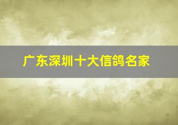 广东深圳十大信鸽名家