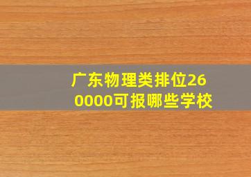 广东物理类排位260000可报哪些学校