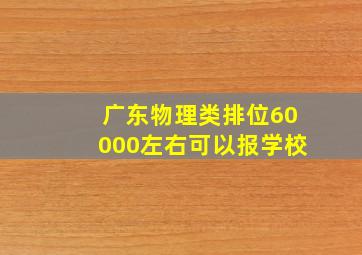 广东物理类排位60000左右可以报学校