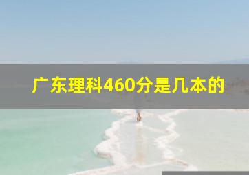 广东理科460分是几本的