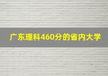 广东理科460分的省内大学