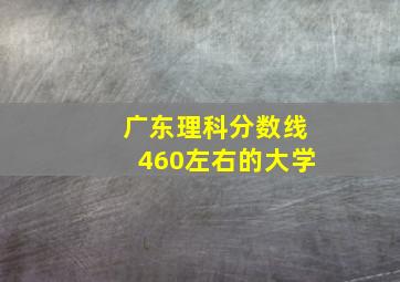 广东理科分数线460左右的大学