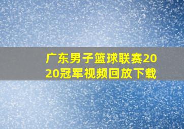 广东男子篮球联赛2020冠军视频回放下载