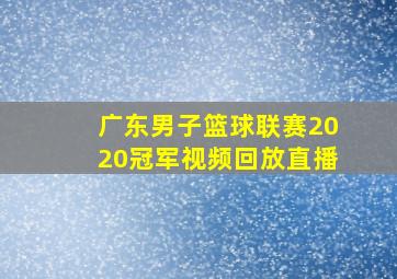 广东男子篮球联赛2020冠军视频回放直播