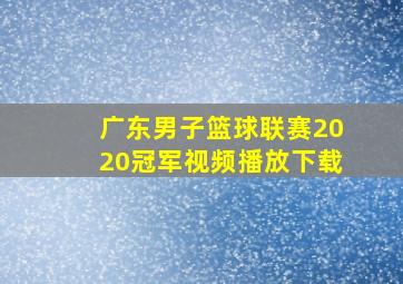 广东男子篮球联赛2020冠军视频播放下载