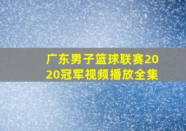 广东男子篮球联赛2020冠军视频播放全集