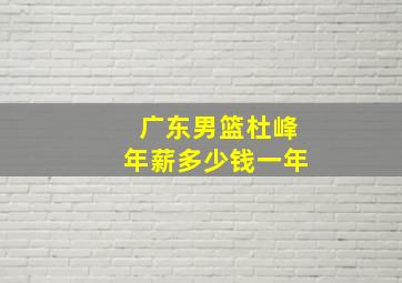 广东男篮杜峰年薪多少钱一年