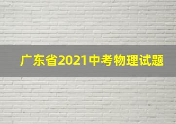 广东省2021中考物理试题