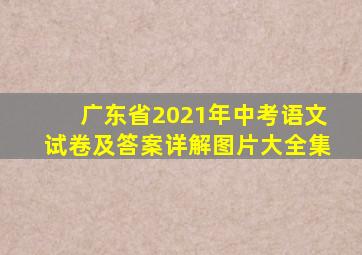 广东省2021年中考语文试卷及答案详解图片大全集