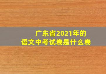 广东省2021年的语文中考试卷是什么卷