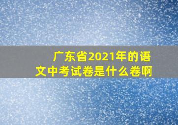 广东省2021年的语文中考试卷是什么卷啊