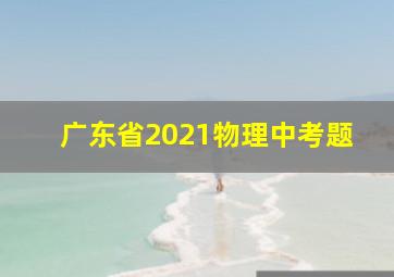 广东省2021物理中考题