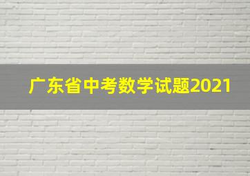 广东省中考数学试题2021