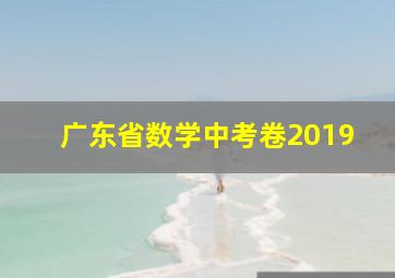 广东省数学中考卷2019