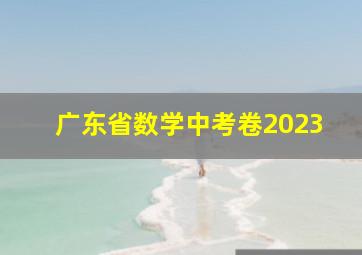 广东省数学中考卷2023